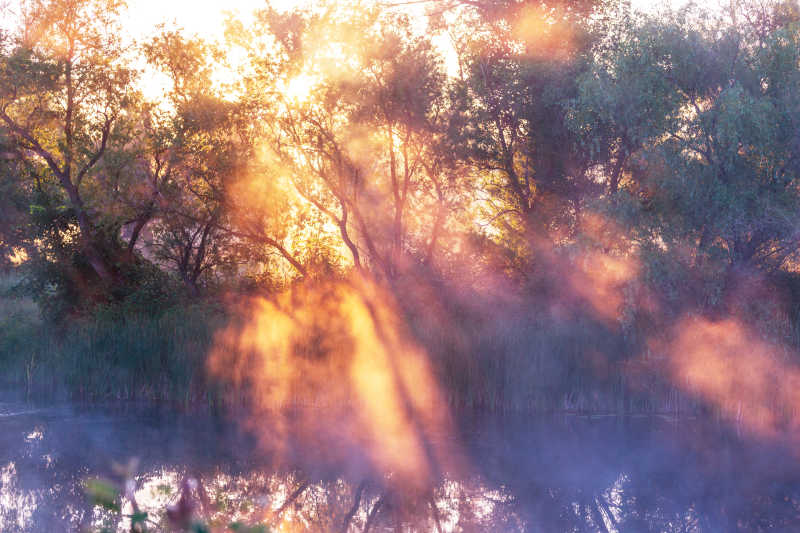五彩缤纷的河雾景观