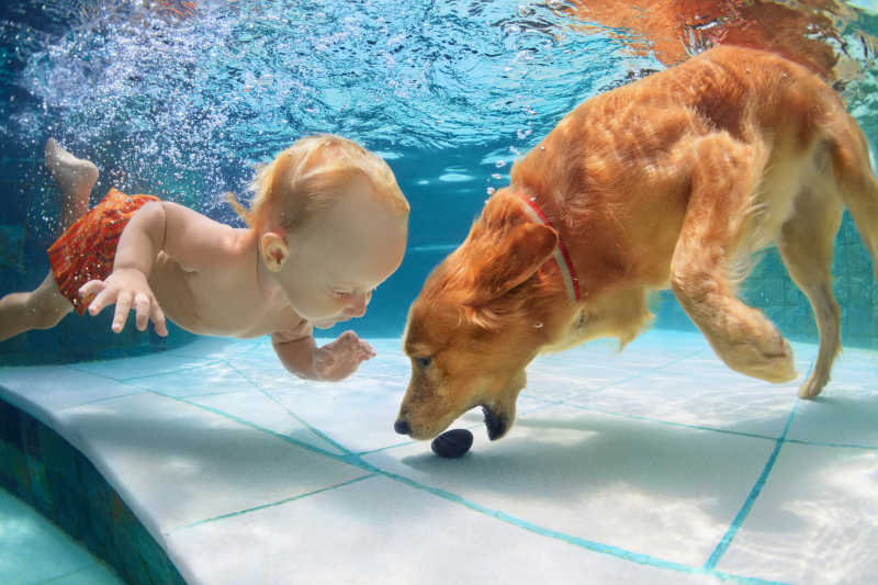 男孩和狗狗在水下玩耍