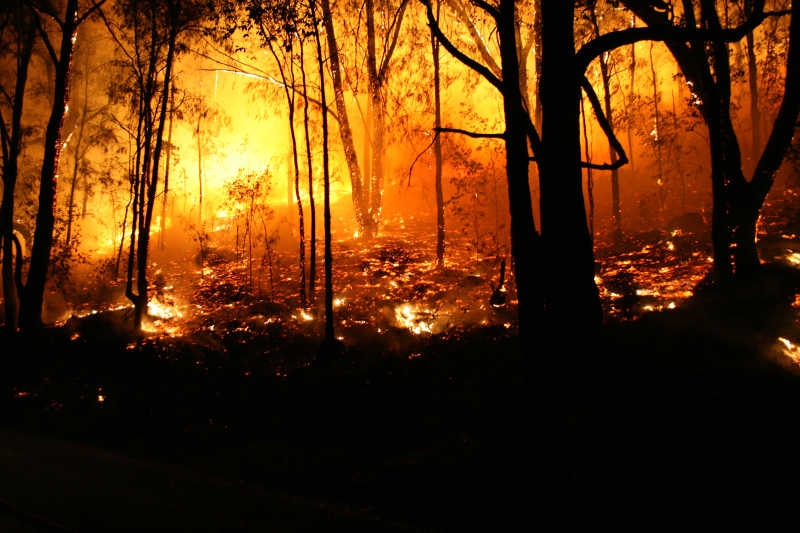 森林大火