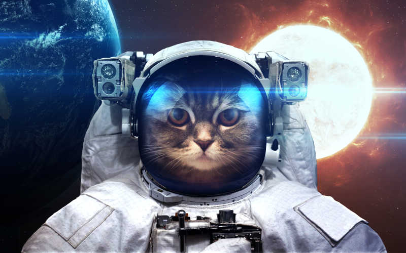 猫太空人