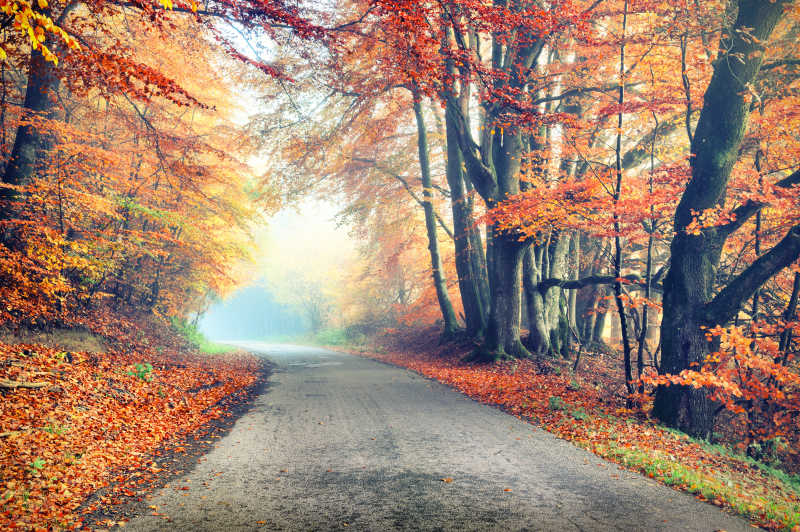秋天的美丽乡村之路