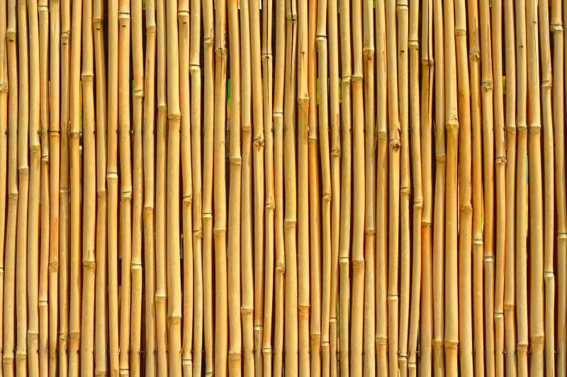 一排黄色的竹子背景