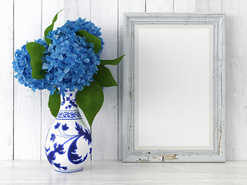 白色背景空的框架和一瓶蓝色的花