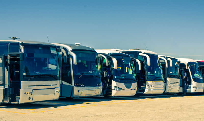一排旅游巴士