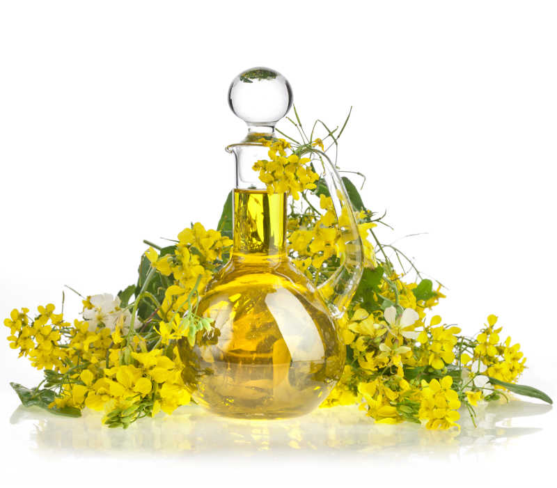 黄色的油菜花盖在一瓶食用油上