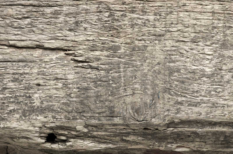 风化的木材表面纹理特写