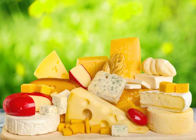 何种各样的奶酪制品