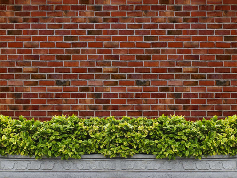 绿色草本植物上的砖墙
