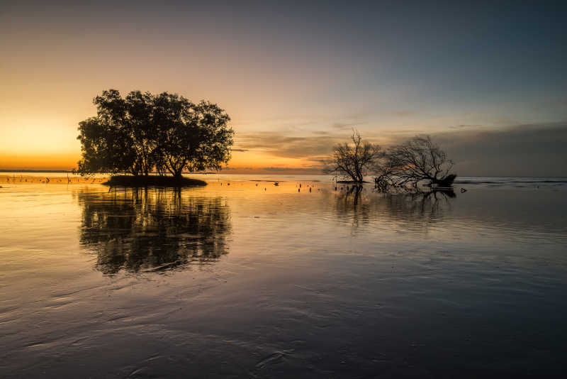 日落下的湖面和树木