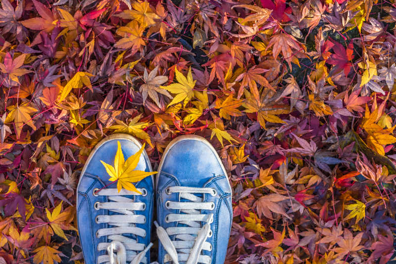 秋季落叶和鞋子特写