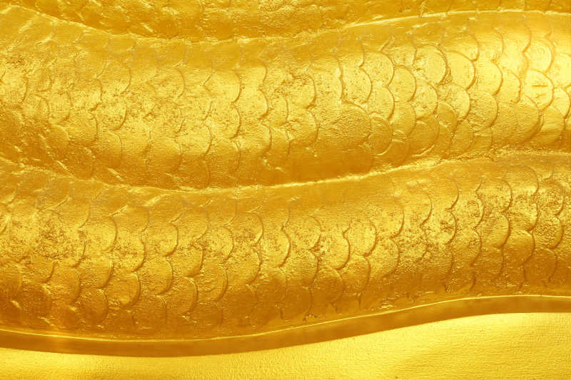 金黄色鱼鳞纹理背景