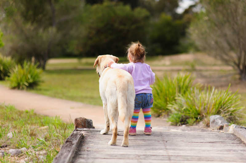 小女孩和她的大型猎犬