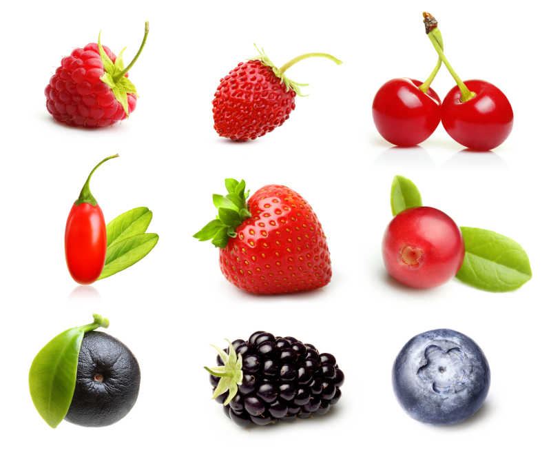 白色背景下的不同形态和种类的浆果
