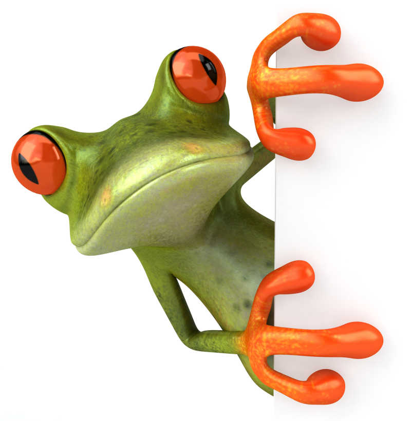 白色背景下的树蛙插画