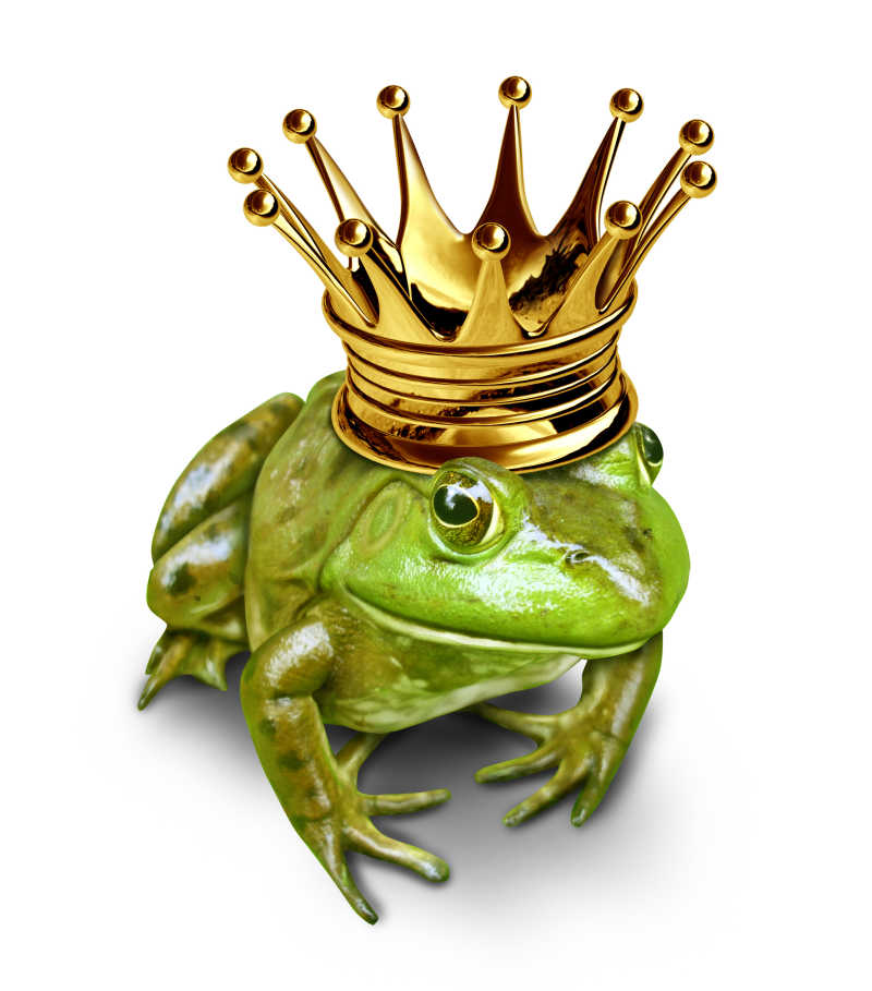 戴着王冠的青蛙王子