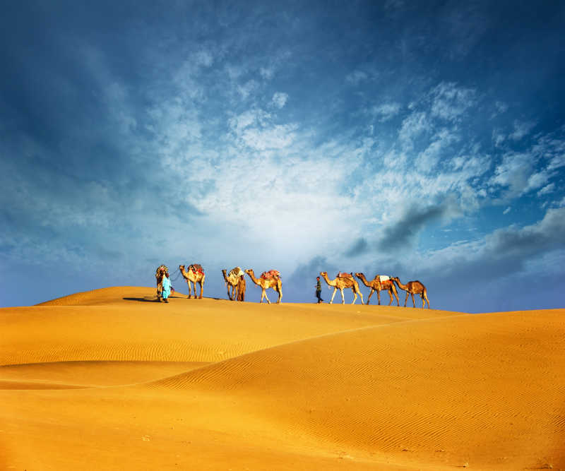 蓝天白云下沙漠里前者骆驼的牧民