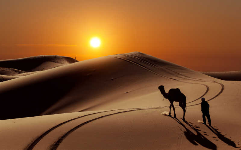 夕阳下的摩洛哥撒哈拉沙漠骆驼与牧民