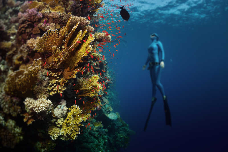 潜水员与珊瑚礁