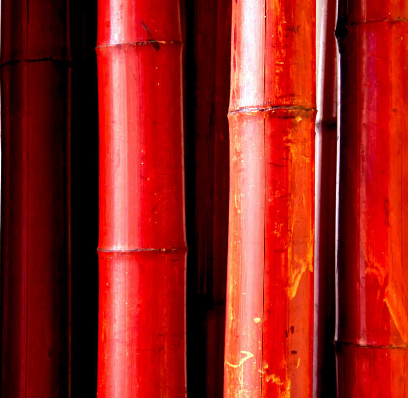 竹管上的红色油漆