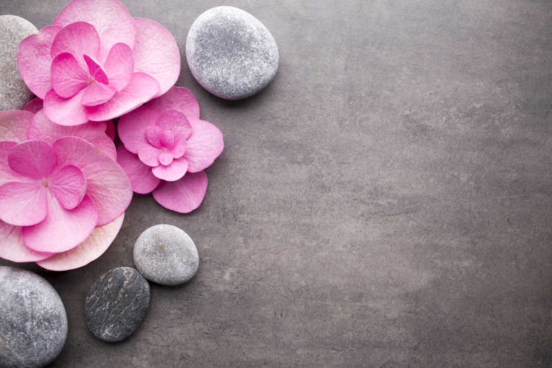 灰色背景上的水疗热疗石和粉色花朵