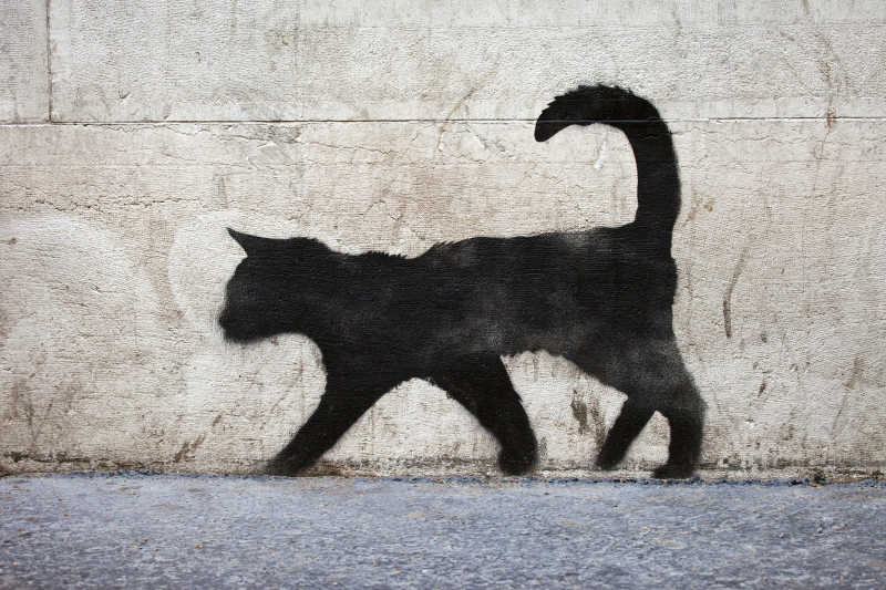 墙上的黑猫涂鸦