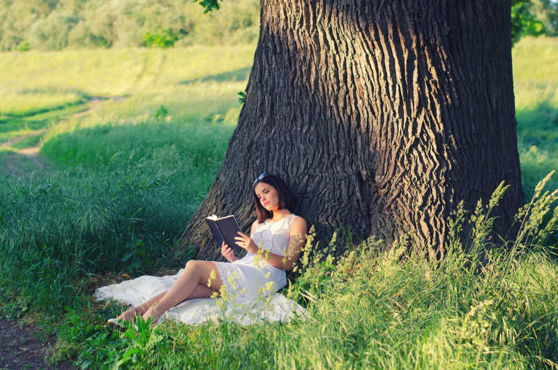 坐在大橡树底下乘凉看书的白色连衣裙少女