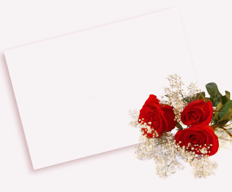 白色背景下的卡片和红玫瑰