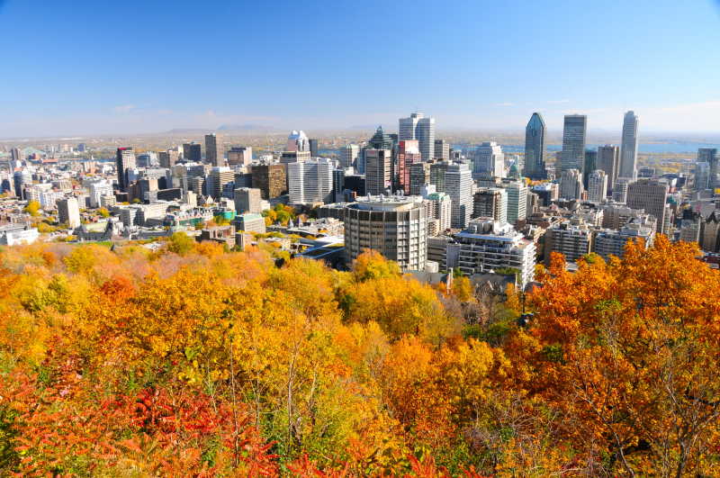 秋季山上看城市的景色