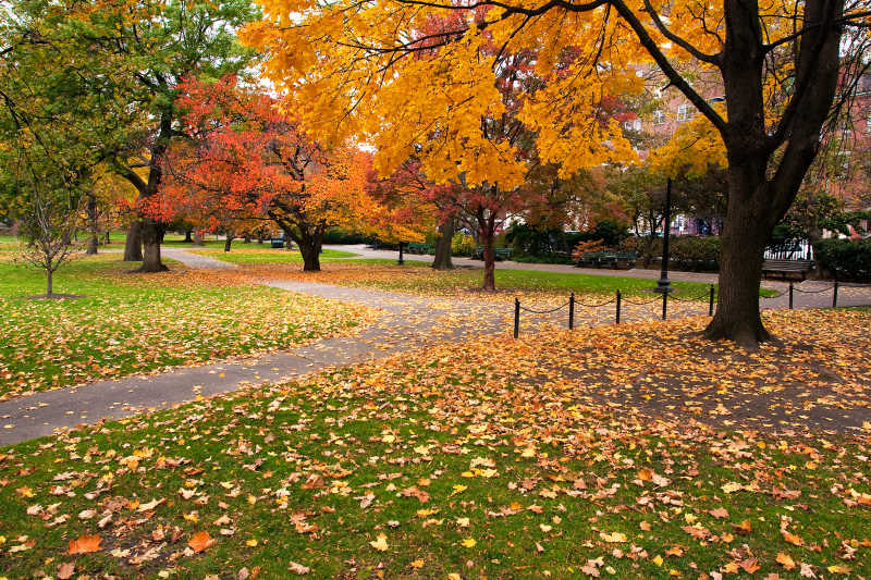 秋季美丽的公园