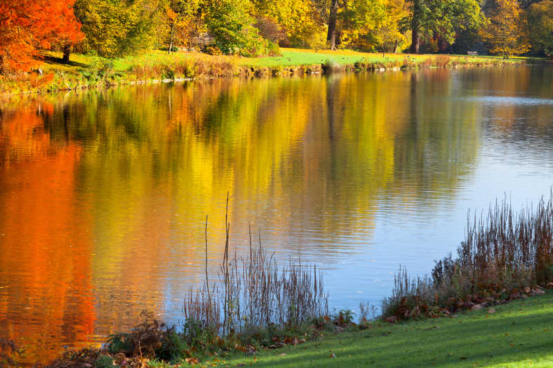秋天公园湖边美丽的景色