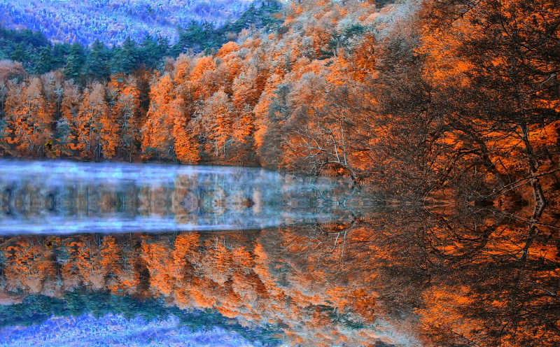 浪漫蓝色植物园的湖和树
