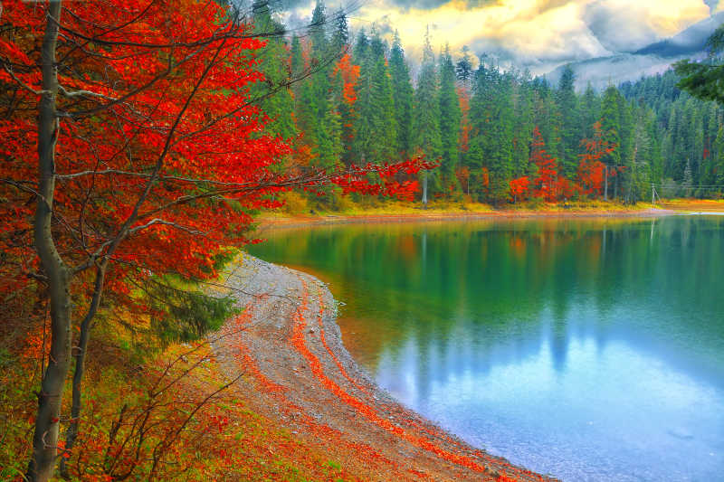 背景上秋天的松树和湖泊