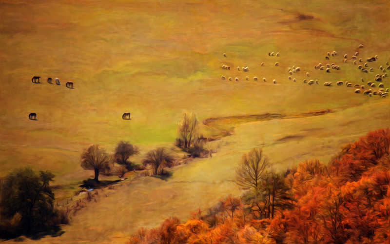 五彩缤纷的秋天田野和羊群