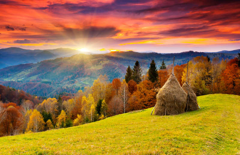 阳光照射的在秋天的山林中