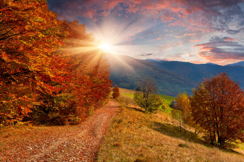秋天里被阳光照射的美丽山林