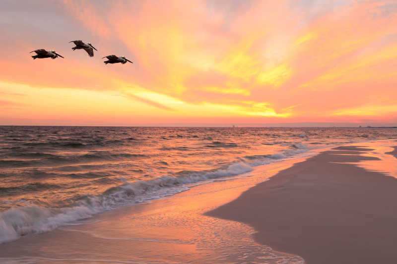 晚霞阳光下的佛罗里达海滩风景
