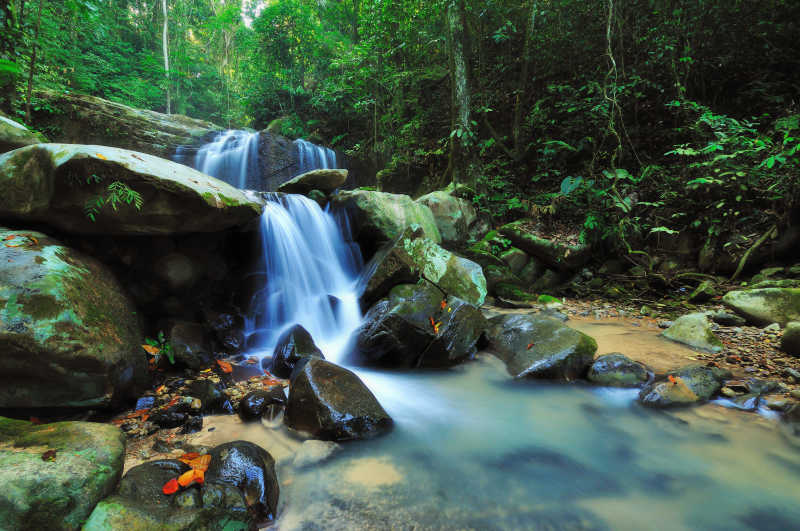 婆罗洲丛林小瀑布