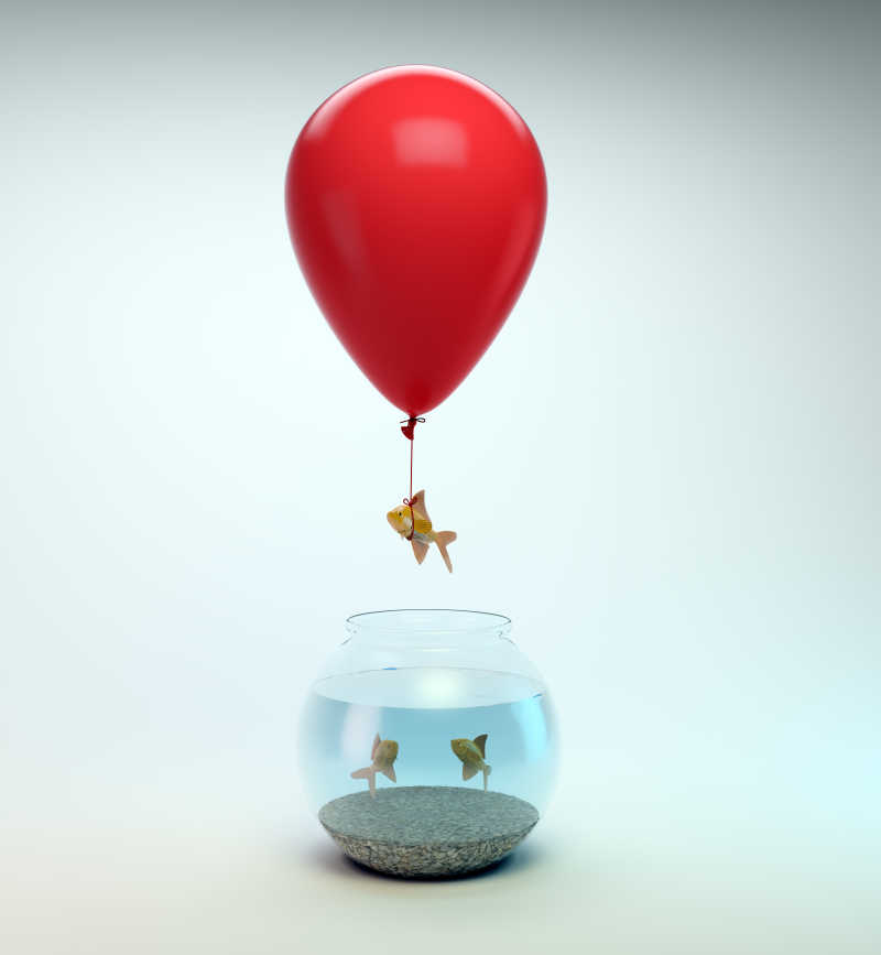 红色气球帮助金鱼逃离鱼缸