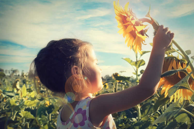 阳光下美丽的小女孩和向日葵
