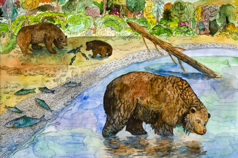 熊与钓鱼水彩绘画