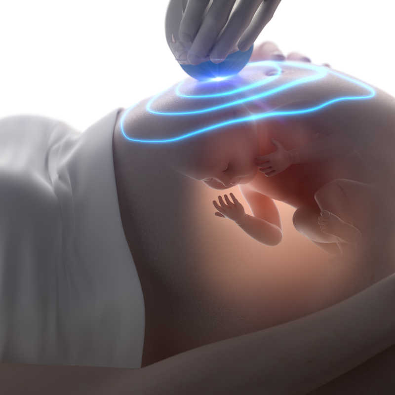 孕期超声三维概念
