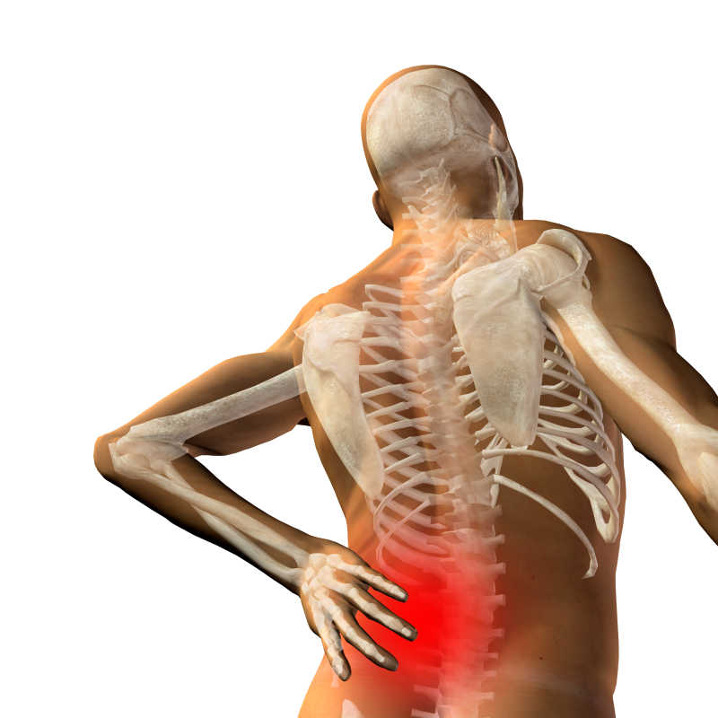 腰部疼痛概念图