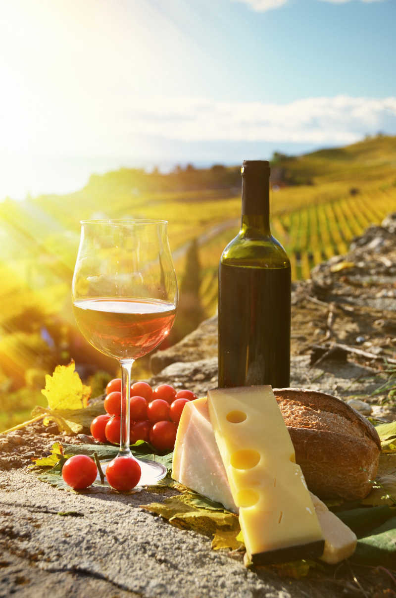 阳光下的奶酪和葡萄酒