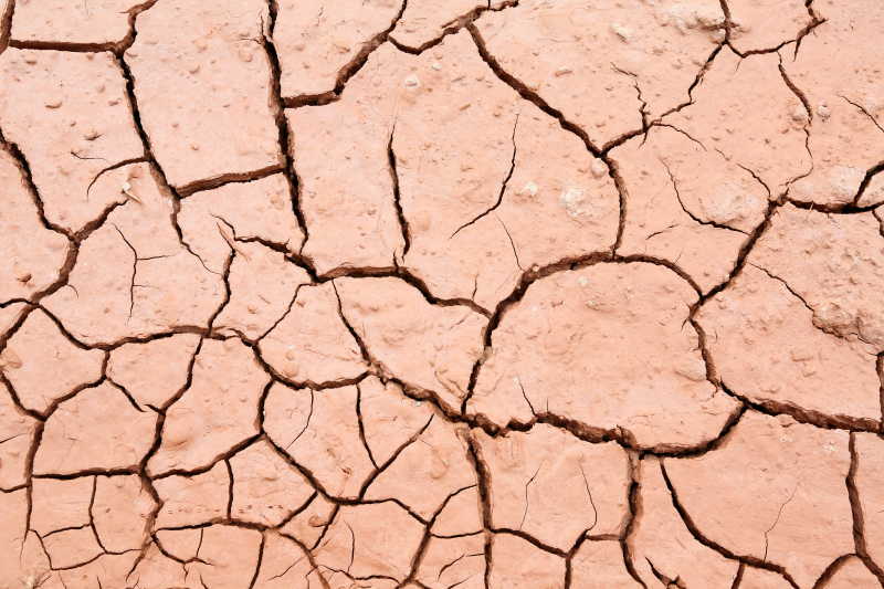 砖红色的裂开的干旱土壤