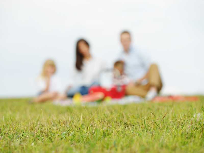 草地上野餐的年轻家庭模糊特写