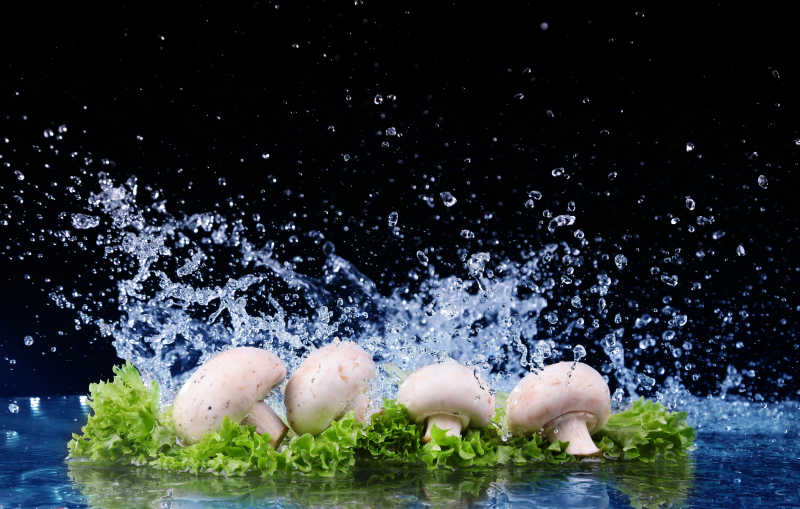 蘑菇和生菜在水中飞溅的镜头