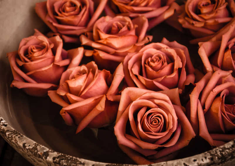陶瓷碗里的新鲜玫瑰