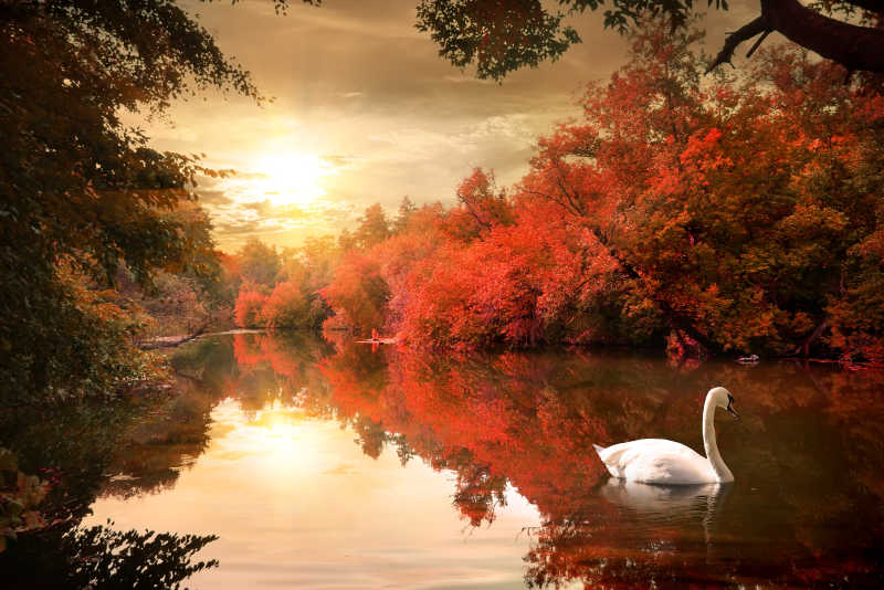 秋日里黄昏下的美丽自然湖泊风景