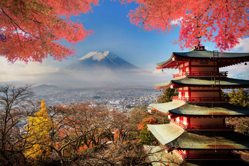 富士山下的自然风景