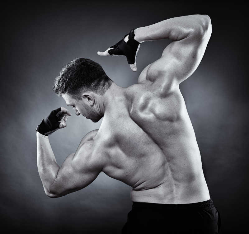 健美运动男子展示背部完美的肌肉